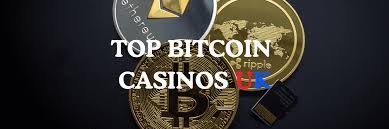 Explore the Exciting World of New Crypto Casinos